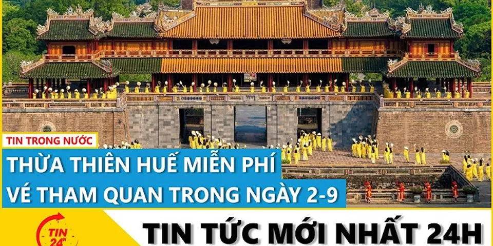 Top 1 cửa hàng oshima Thành phố Huế Thừa Thiên Huế 2022